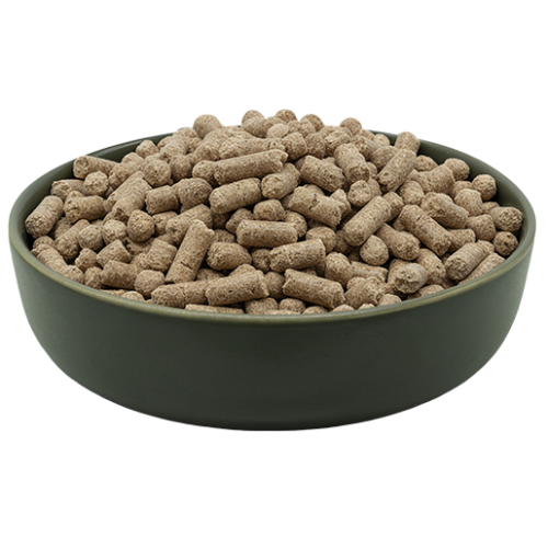 Premietti e Bocconcini per Cani