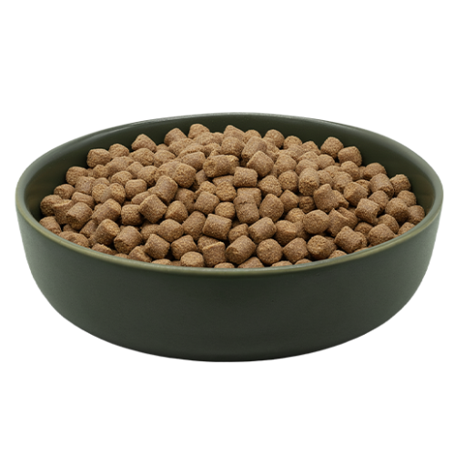 MAXiDOG Allround Champion 9 • Cuccioli e Crocchette, Reico Partner | Sano. Naturale. Minerale. cibo cani secco crocchette reico maxidog allround champion • Cuccioli e Crocchette, Reico Partner | Sano. Naturale. Minerale.