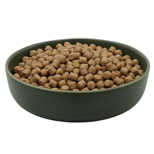 MAXiDOG Allround Champion 8 • Cuccioli e Crocchette, Reico Partner | Sano. Naturale. Minerale. MAXiDOG Allround Champion