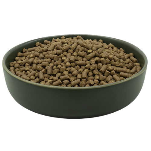 Crocchette per cani Reico MAXiDOG Pura Agnello