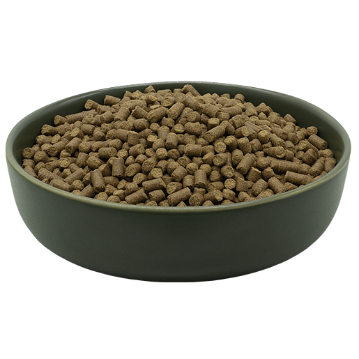 MAXiDOG Pura Agnello 8 • Cuccioli e Crocchette, Reico Partner | Sano. Naturale. Minerale. Crocchette per cani Reico MAXiDOG Pura Agnello