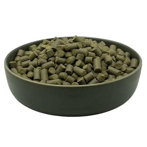 MAXiDOG Cura Alghe 8 • Cuccioli e Crocchette, Reico Partner | Sano. Naturale. Minerale. Maxidog Cura Alghe, alimento complementare per cani Reico